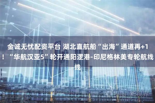金诚无忧配资平台 湖北直航船“出海”通道再+1！“华航汉亚5”轮开通阳逻港-印尼格林美专轮航线