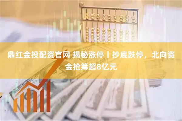 鼎红金投配资官网 揭秘涨停丨抄底跌停，北向资金抢筹超8亿元