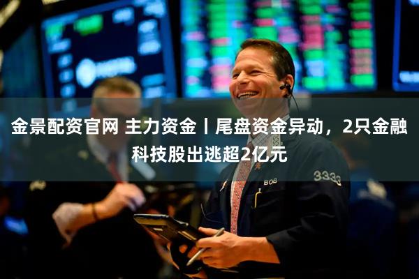 金景配资官网 主力资金丨尾盘资金异动，2只金融科技股出逃超2亿元