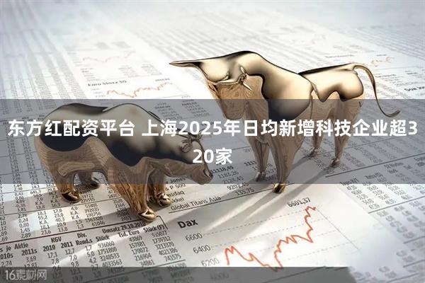 东方红配资平台 上海2025年日均新增科技企业超320家