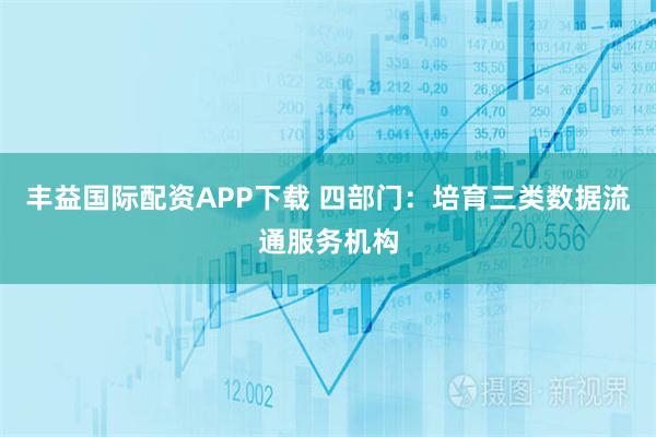 丰益国际配资APP下载 四部门：培育三类数据流通服务机构