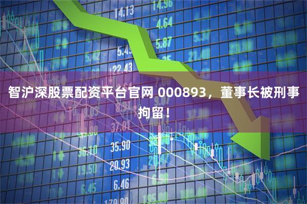智沪深股票配资平台官网 000893，董事长被刑事拘留！