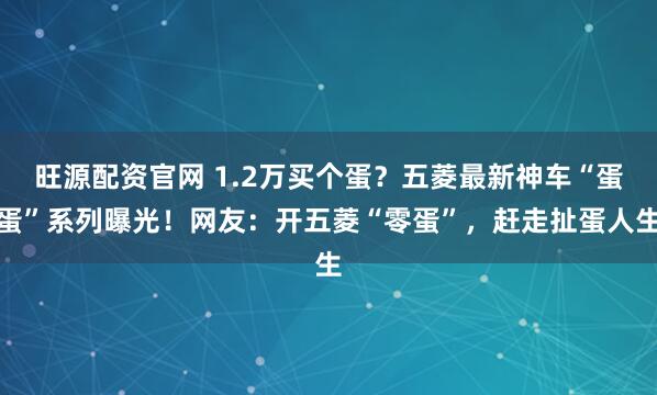 旺源配资官网 1.2万买个蛋？五菱最新神车“蛋蛋”系列曝光！网友：开五菱“零蛋”，赶走扯蛋人生
